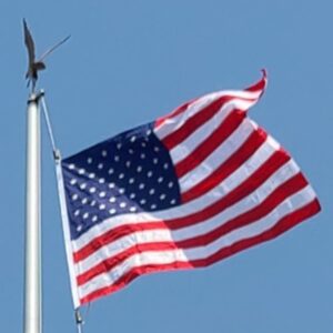 Flag American Flag